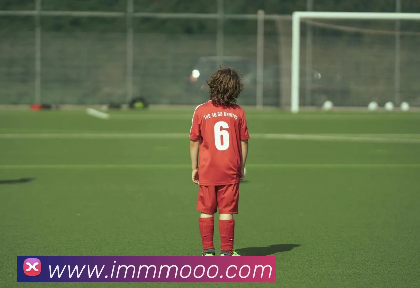 多媒体互动体验